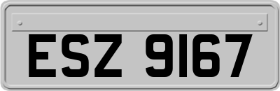 ESZ9167