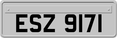 ESZ9171