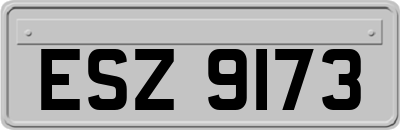 ESZ9173