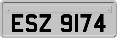 ESZ9174