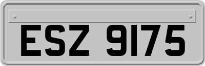 ESZ9175