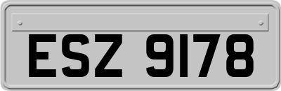 ESZ9178