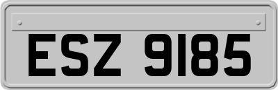ESZ9185