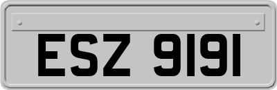 ESZ9191