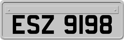 ESZ9198