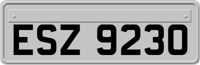 ESZ9230