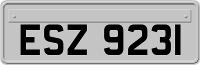 ESZ9231