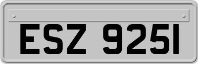 ESZ9251