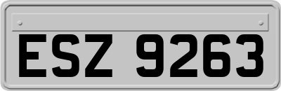 ESZ9263