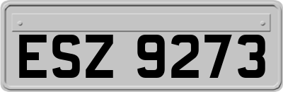 ESZ9273