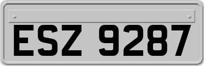 ESZ9287