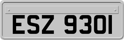 ESZ9301