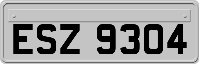 ESZ9304