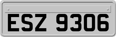 ESZ9306