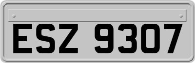 ESZ9307