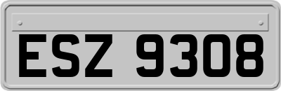 ESZ9308