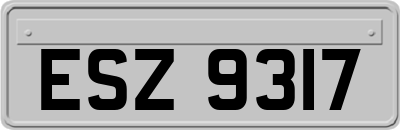 ESZ9317