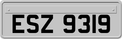 ESZ9319