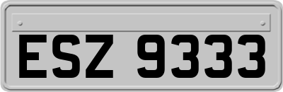 ESZ9333
