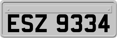ESZ9334