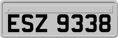 ESZ9338