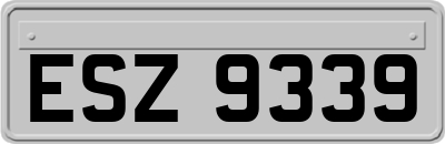 ESZ9339