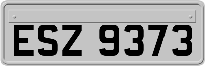 ESZ9373