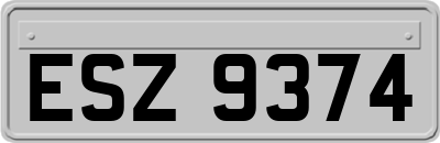 ESZ9374