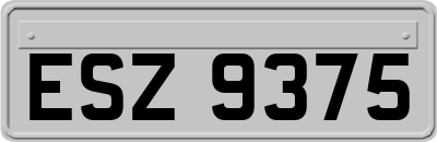 ESZ9375
