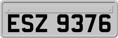 ESZ9376