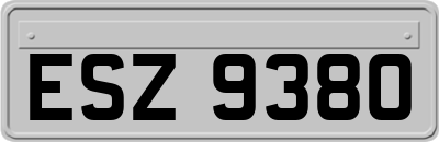 ESZ9380