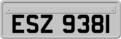 ESZ9381