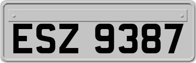 ESZ9387