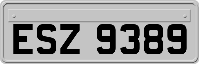 ESZ9389