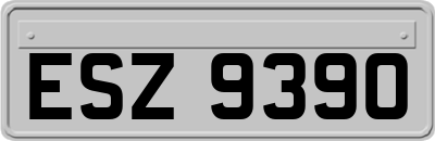 ESZ9390