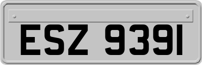 ESZ9391