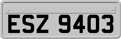 ESZ9403
