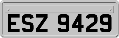 ESZ9429