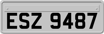 ESZ9487