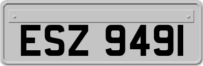 ESZ9491