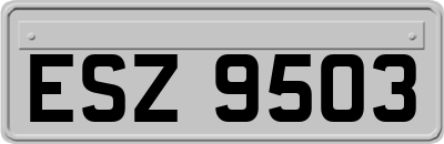 ESZ9503