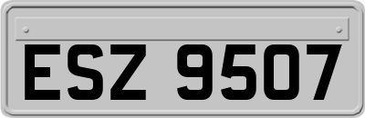 ESZ9507