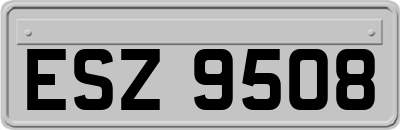 ESZ9508