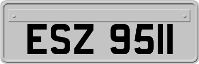 ESZ9511