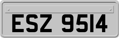 ESZ9514