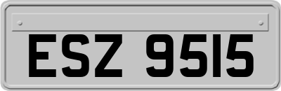 ESZ9515