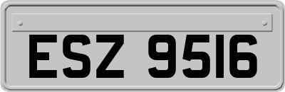ESZ9516