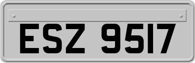 ESZ9517