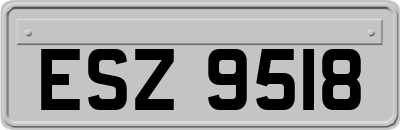 ESZ9518