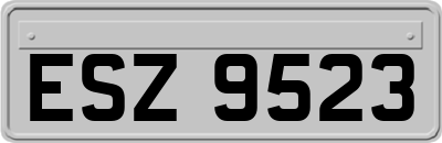 ESZ9523